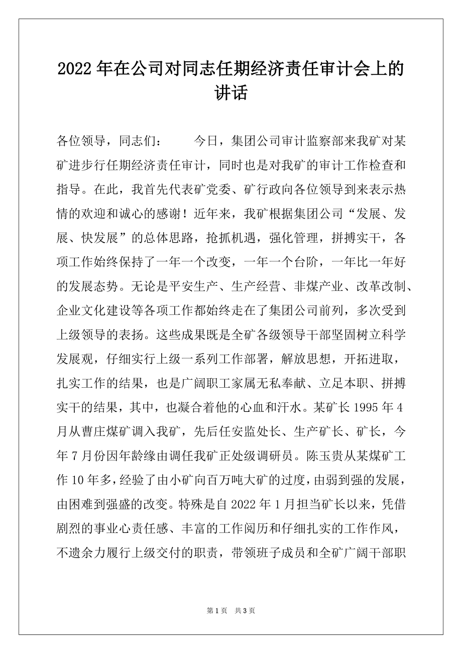 2022年在公司对同志任期经济责任审计会上的讲话例文.docx_第1页