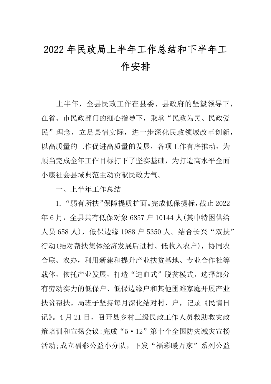 2022年民政局上半年工作总结和下半年工作安排.docx_第1页