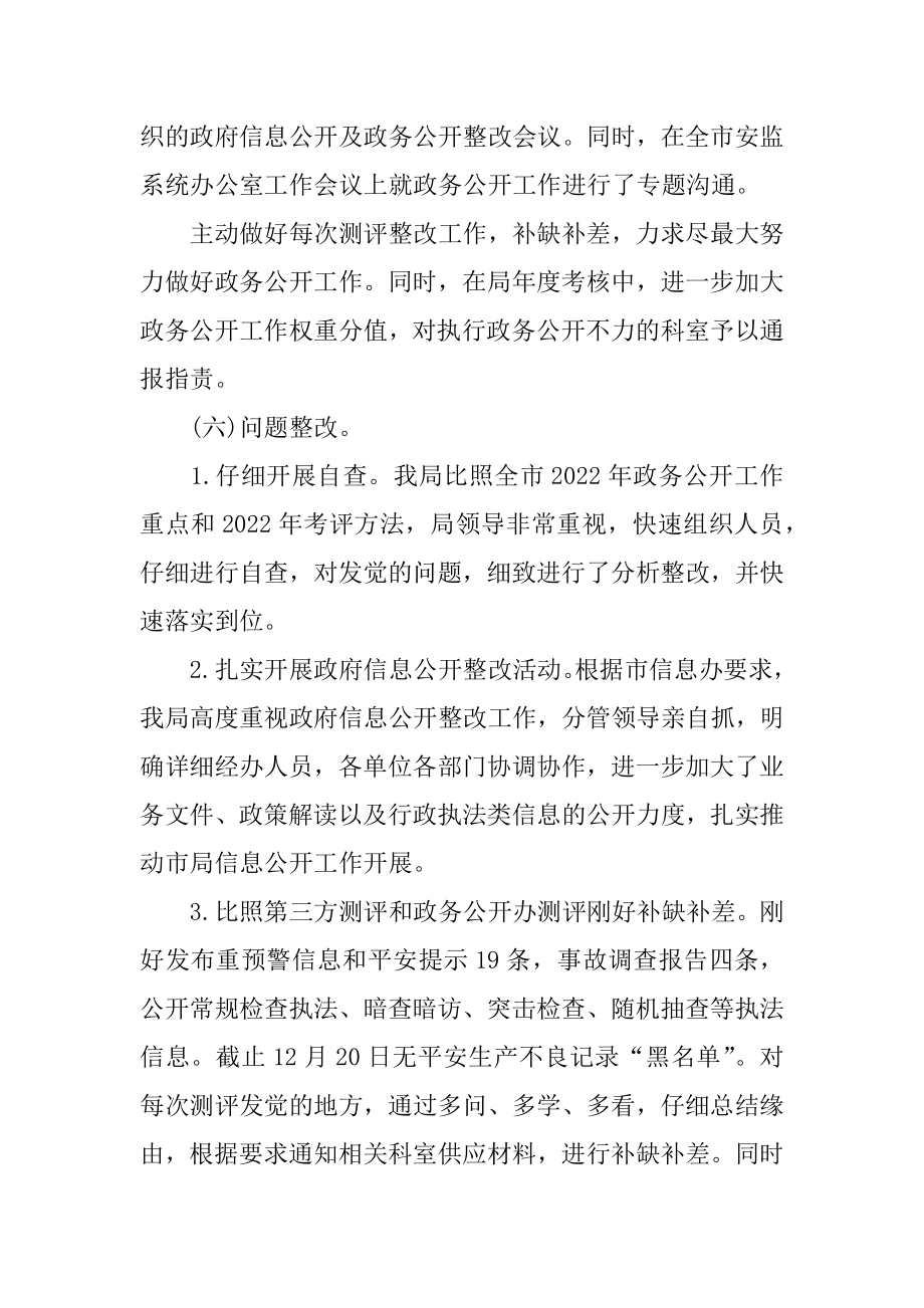 2022年安监局政务公开工作总结(2).docx_第2页