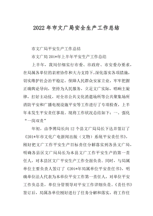 2022年市文广局安全生产工作总结.docx