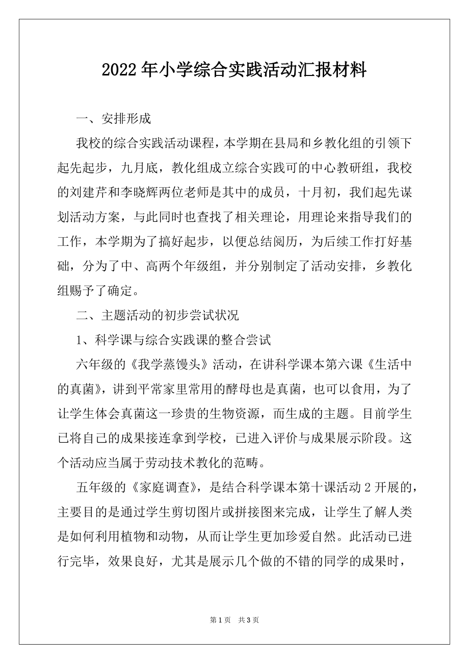 2022年小学综合实践活动汇报材料.docx_第1页