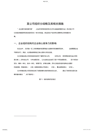 2022年某公司组织分战略与相关措施 .pdf