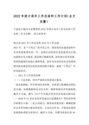 2022年统计局年工作总结和工作计划（全文完整）.docx