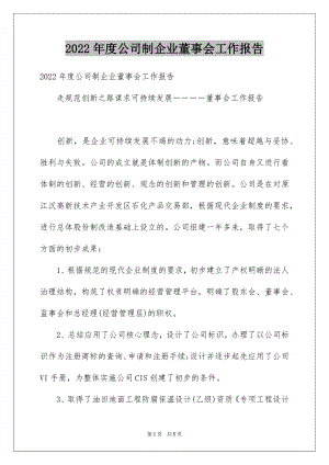 2022年度公司制企业董事会工作报告.docx