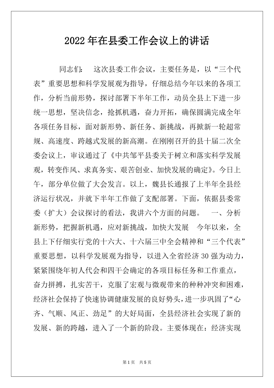 2022年在县委工作会议上的讲话例文.docx_第1页