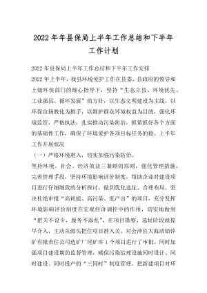 2022年年县保局上半年工作总结和下半年工作计划.docx