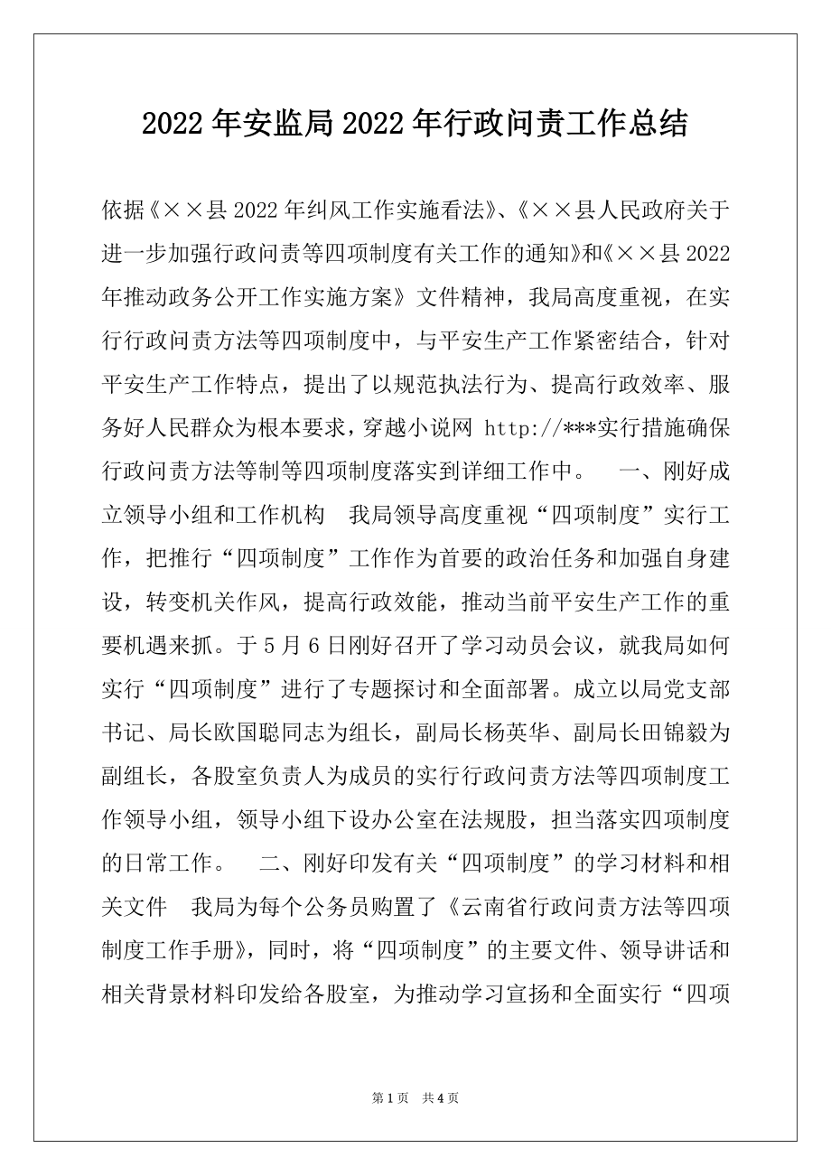 2022年安监局2022年行政问责工作总结.docx_第1页