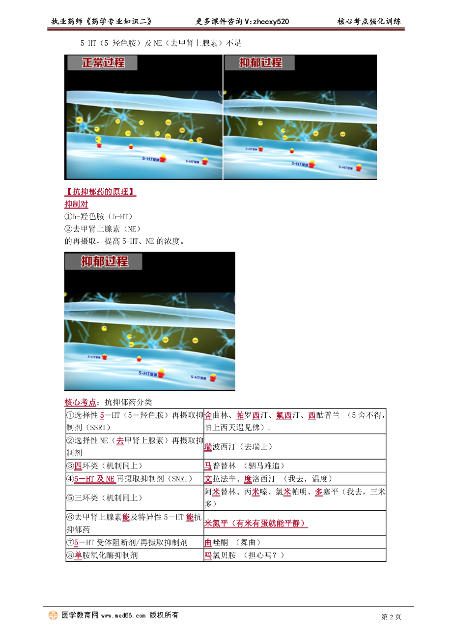 2021执业药师考试药学专业知识二讲义之 精神与中枢神经系统疾病用药.doc_第2页