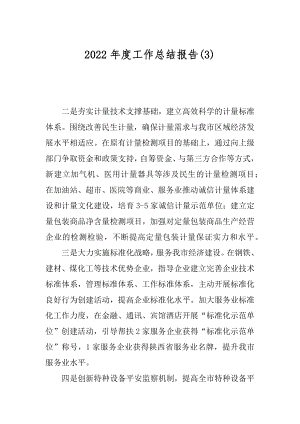 2022年度工作总结报告(3).docx