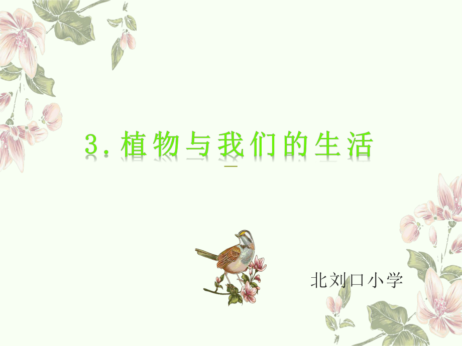 第三课-植物与我们的生活ppt课件.ppt_第1页