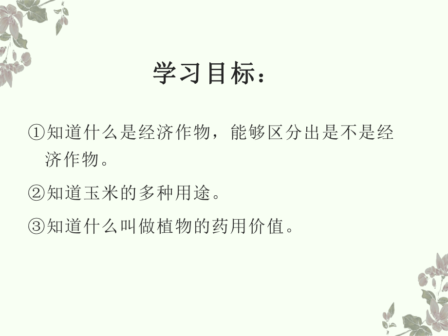 第三课-植物与我们的生活ppt课件.ppt_第2页