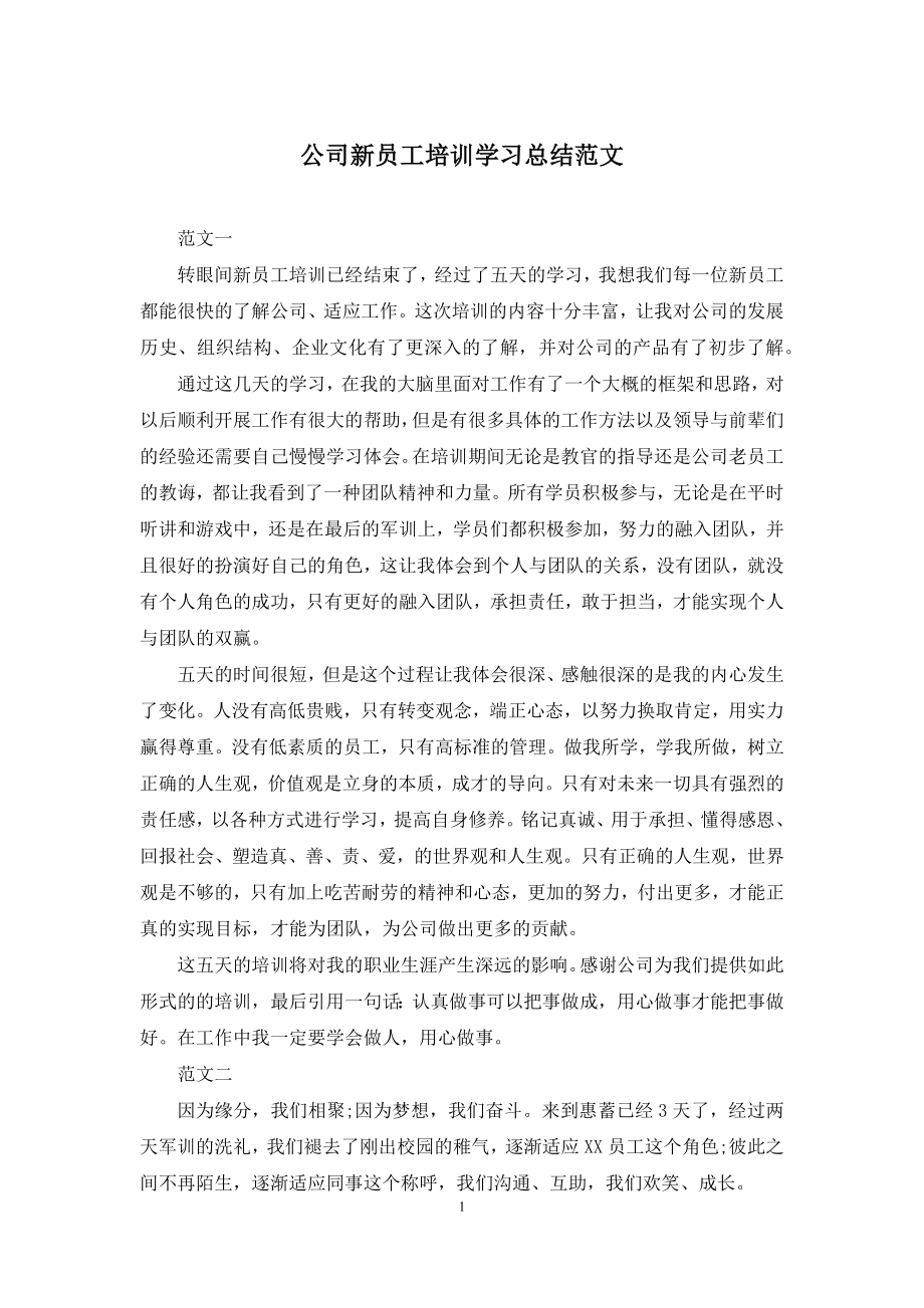 公司新员工培训学习总结范文.docx_第1页