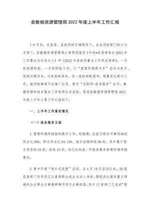 县数据资源管理局2022年度上半年工作汇报.docx