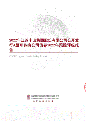 丰山集团：2022年江苏丰山集团股份有限公司公开发行A股可转换公司债券2022年跟踪评级报告.PDF