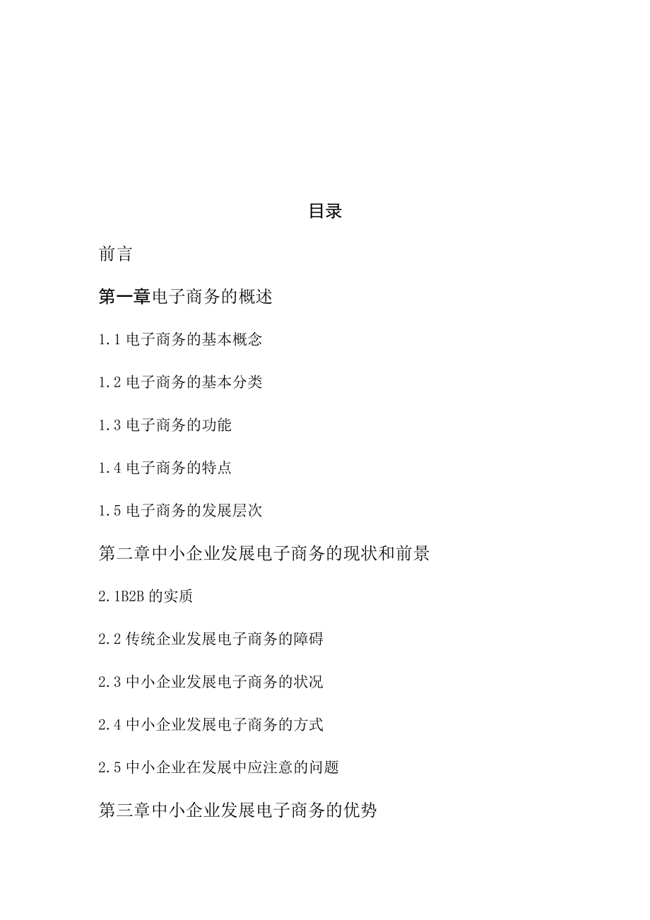 中小企业发展电子商务的优势和劣势分析-毕业论文.docx_第2页