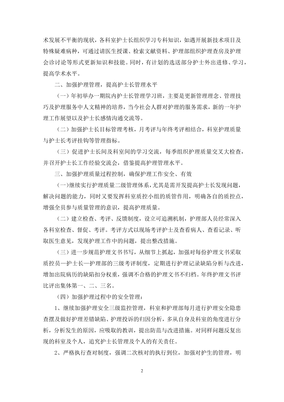 护士个人年度计划模板合集八篇.docx_第2页