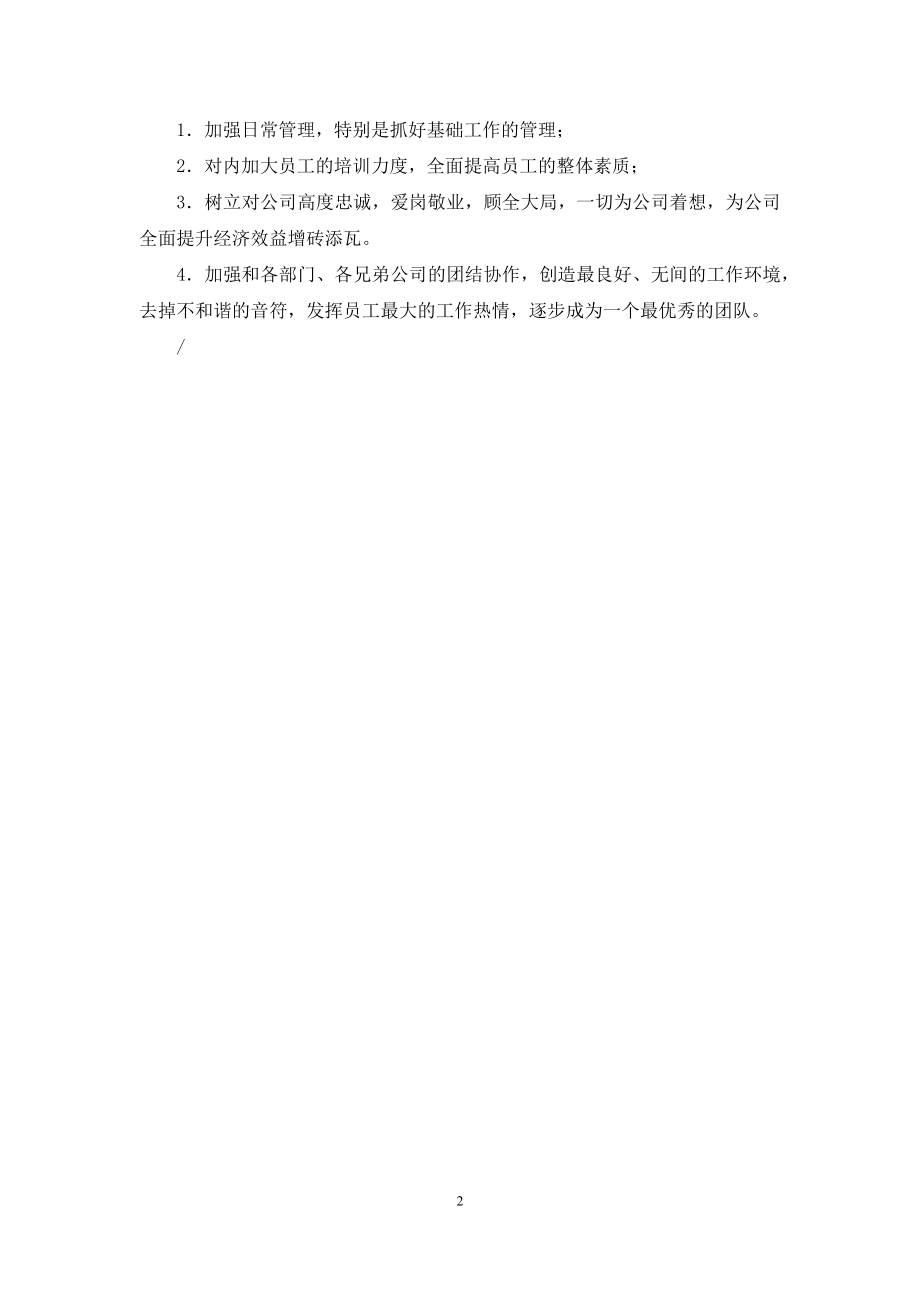 淘宝店长年终总结.docx_第2页