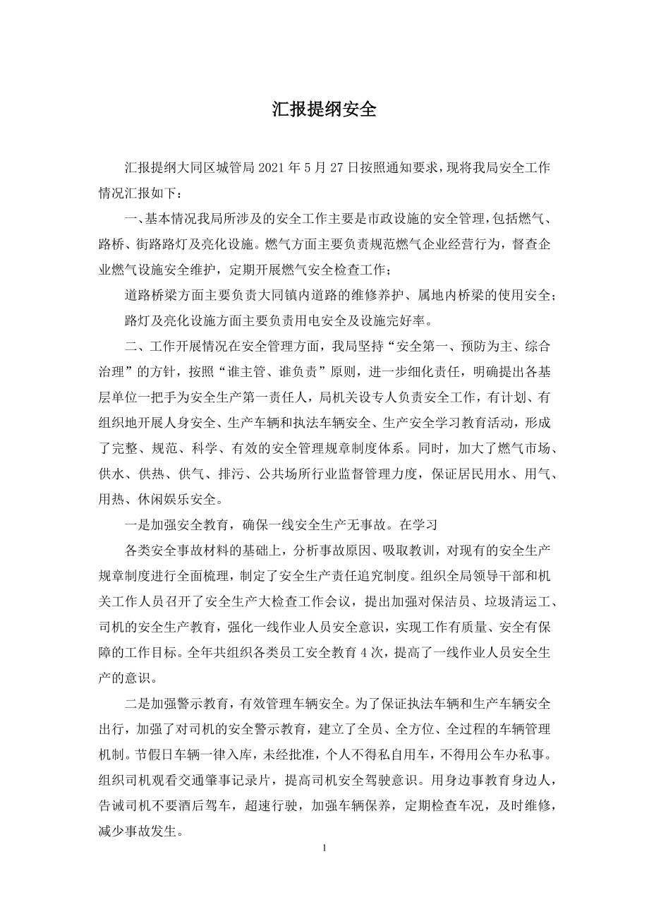 汇报提纲安全.docx_第1页