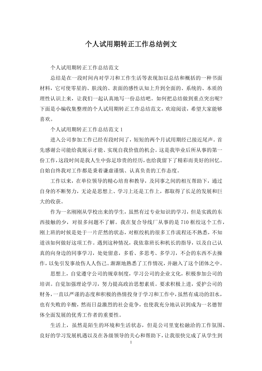 个人试用期转正工作总结例文.docx_第1页