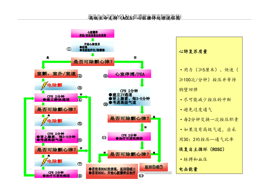 高级生命支持(ACLS)心脏骤停处理流程图(新修).doc_第2页