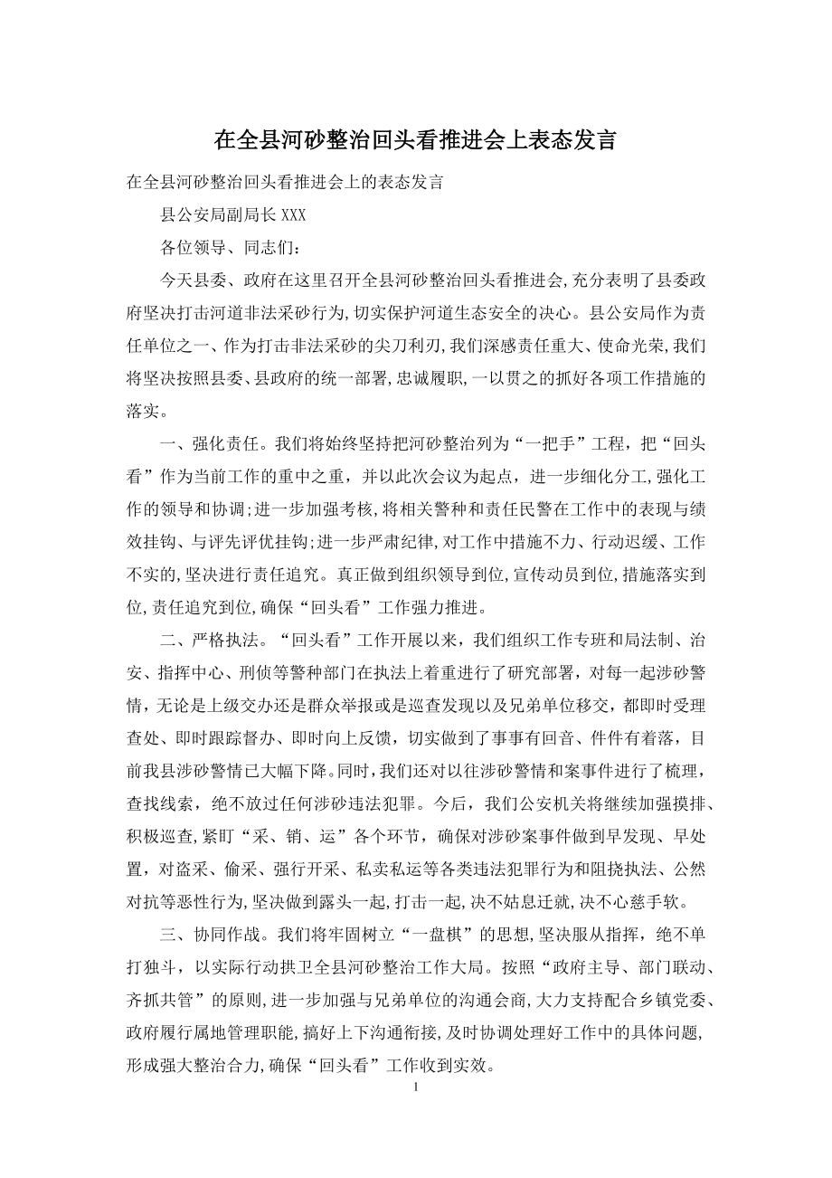 在全县河砂整治回头看推进会上表态发言.docx_第1页