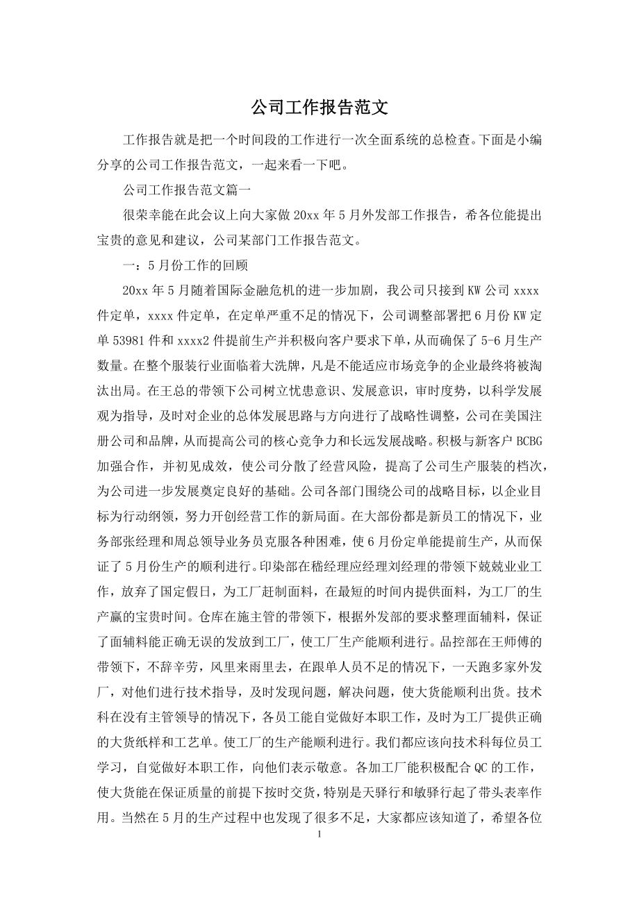 公司工作报告范文.docx_第1页