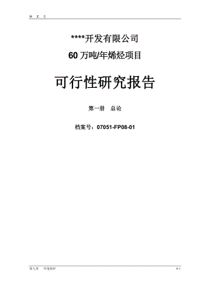 库车广汇新能源开发有限公司60万吨年烯烃项目可行性研究报告.docx