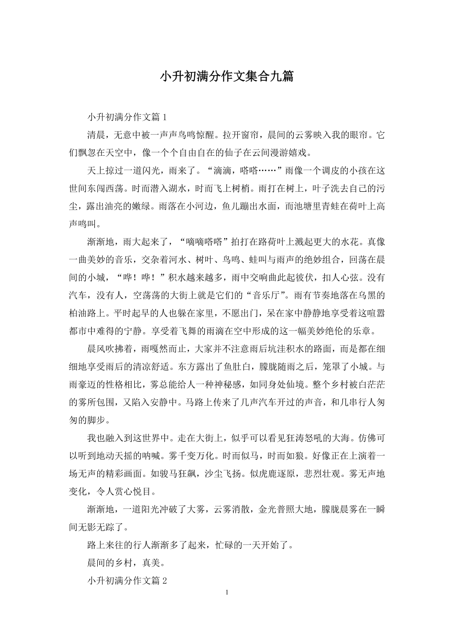 小升初满分作文集合九篇.docx_第1页