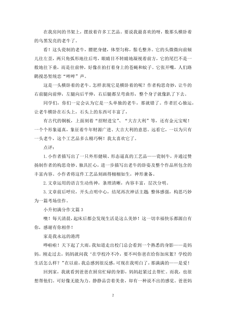 小升初满分作文集合九篇.docx_第2页