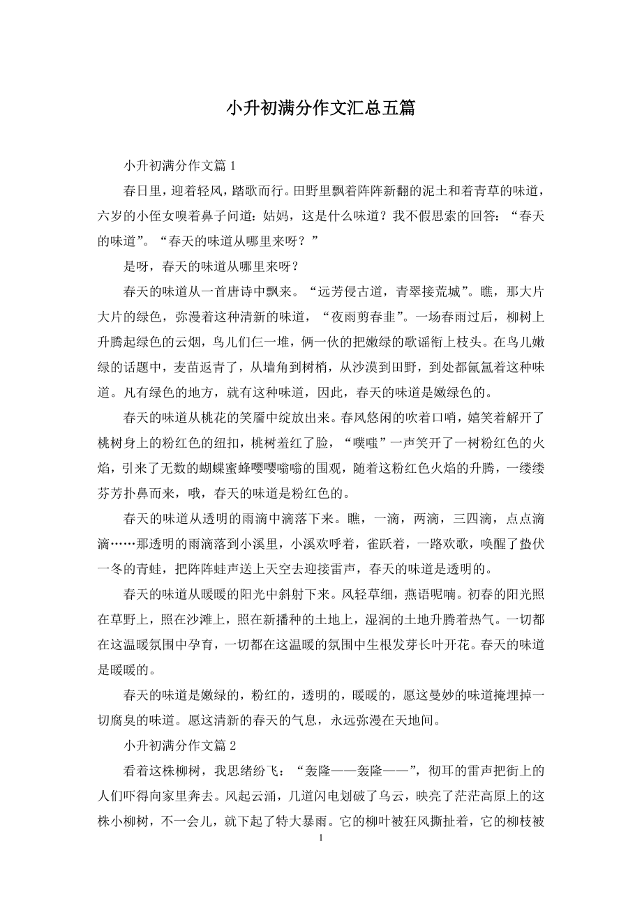 小升初满分作文汇总五篇.docx_第1页