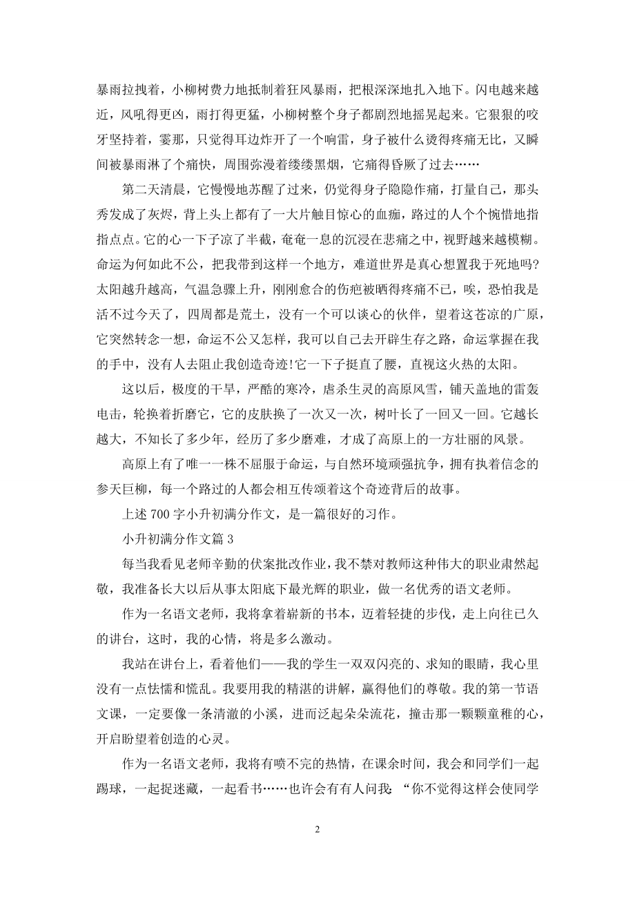 小升初满分作文汇总五篇.docx_第2页