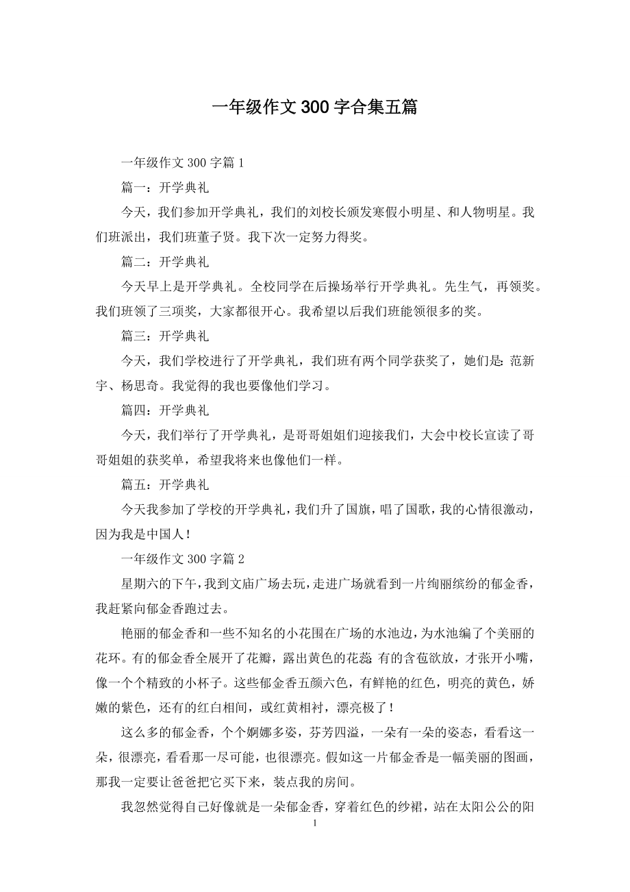 一年级作文300字合集五篇-1.docx_第1页