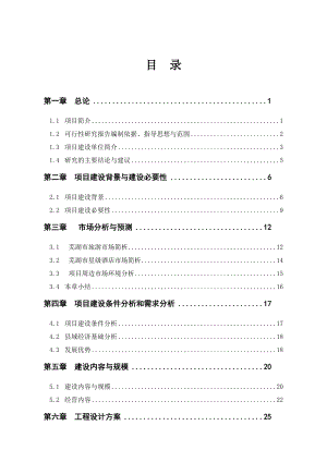 安徽省某星级酒店建设项目可行性研究报告.docx