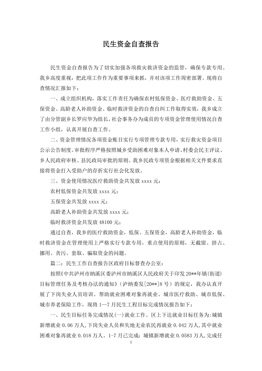 民生资金自查报告.docx_第1页