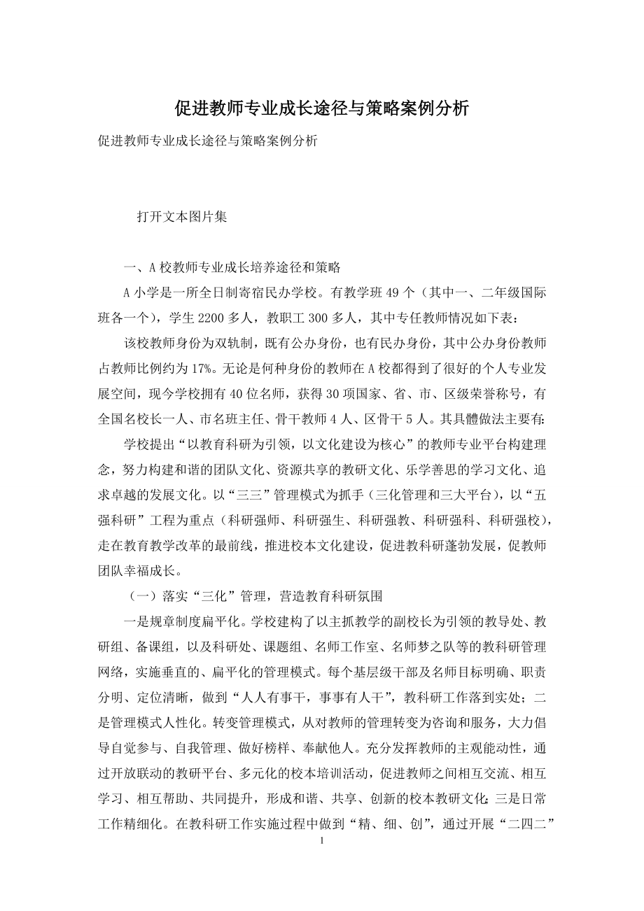 促进教师专业成长途径与策略案例分析.docx_第1页