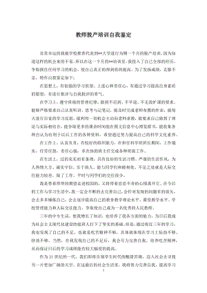 教师脱产培训自我鉴定.docx