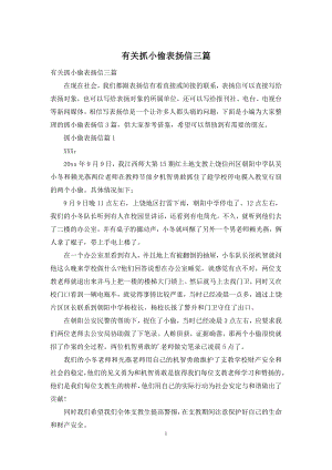 有关抓小偷表扬信三篇.docx