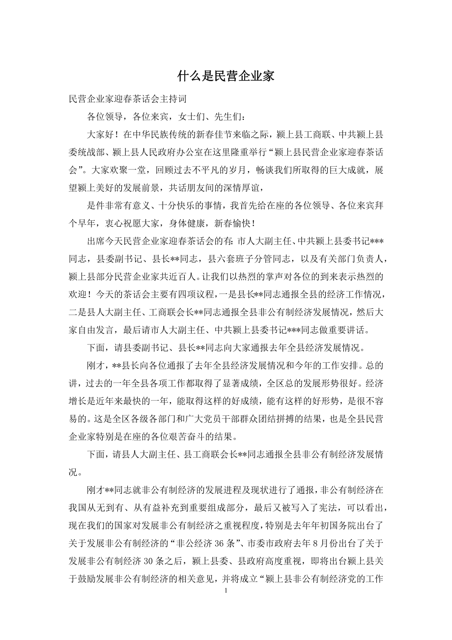 什么是民营企业家.docx_第1页