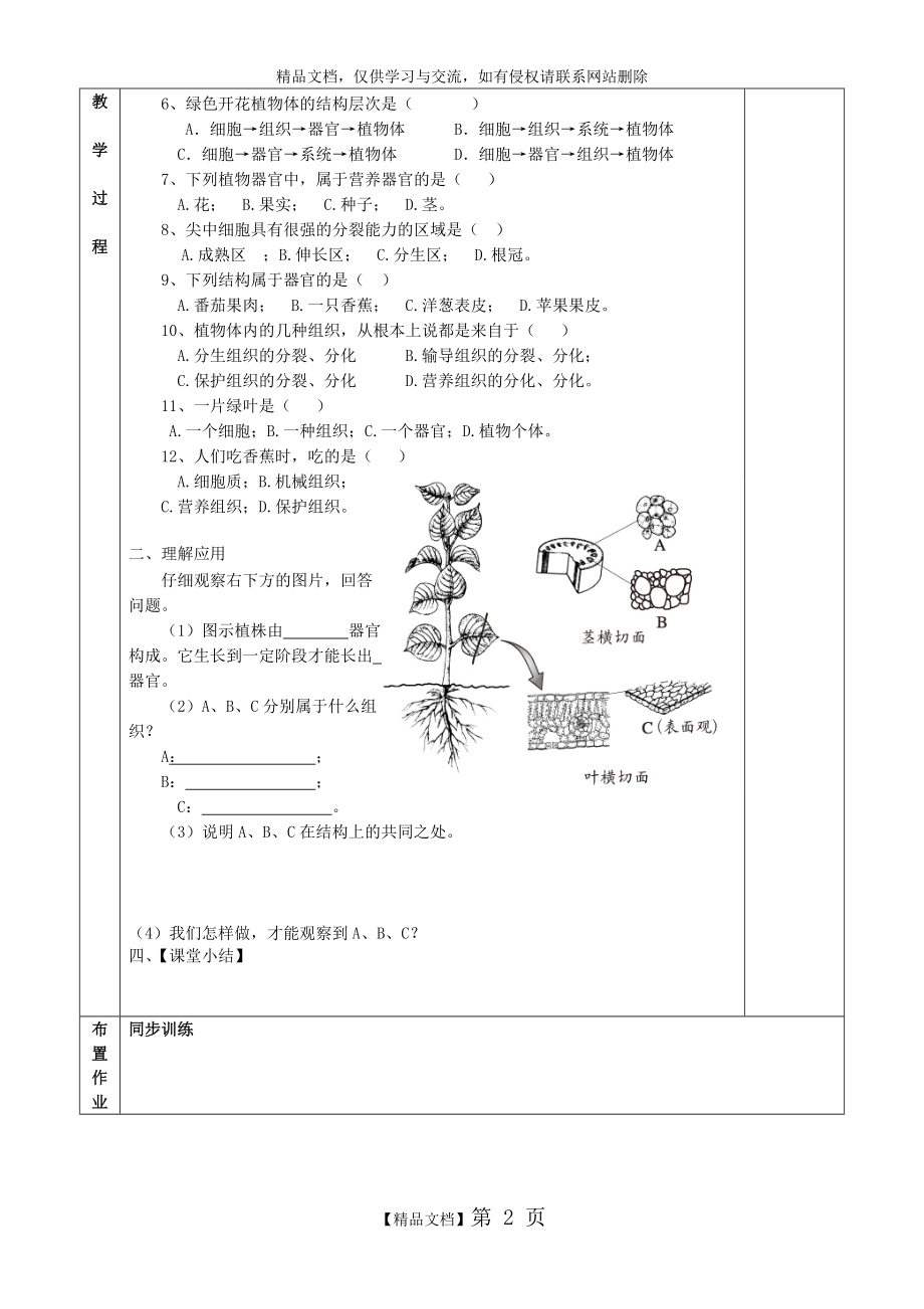 植物体的结构层次复习.doc_第2页