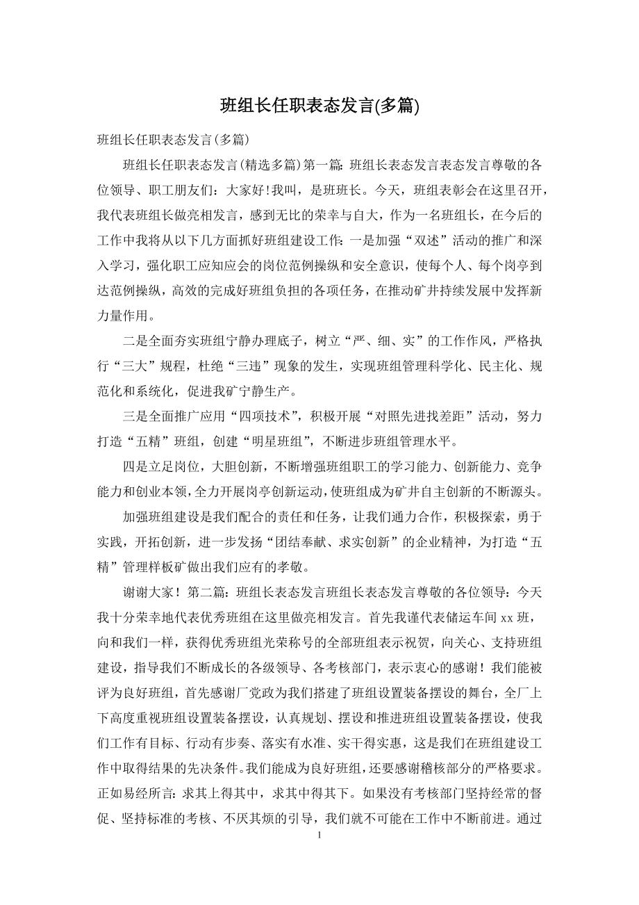 班组长任职表态发言(多篇).docx_第1页