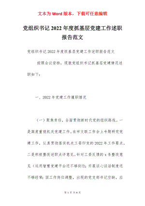 党组织书记2022年度抓基层党建工作述职报告范文.docx