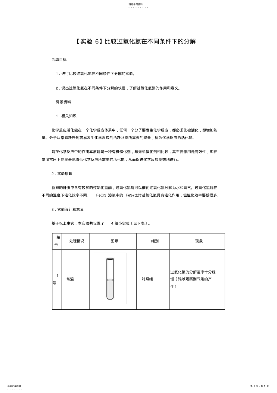 2022年比较过氧化氢在不同条件下的分解 .pdf_第1页