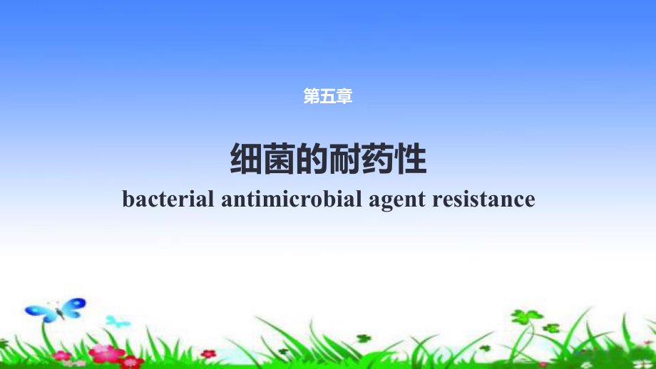 细菌的耐药性ppt课件.ppt_第1页