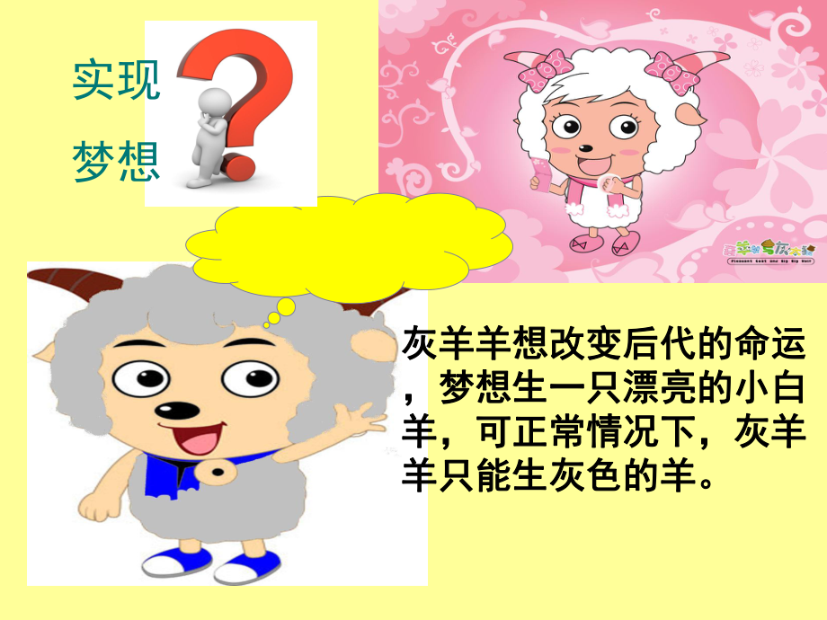 细胞核系统的控制中心ppt课件.ppt_第2页