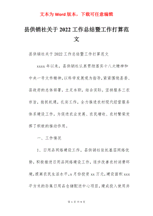 县供销社关于2022工作总结暨工作打算范文.docx