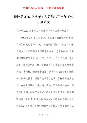 统计局2022上半年工作总结与下半年工作计划范文.docx