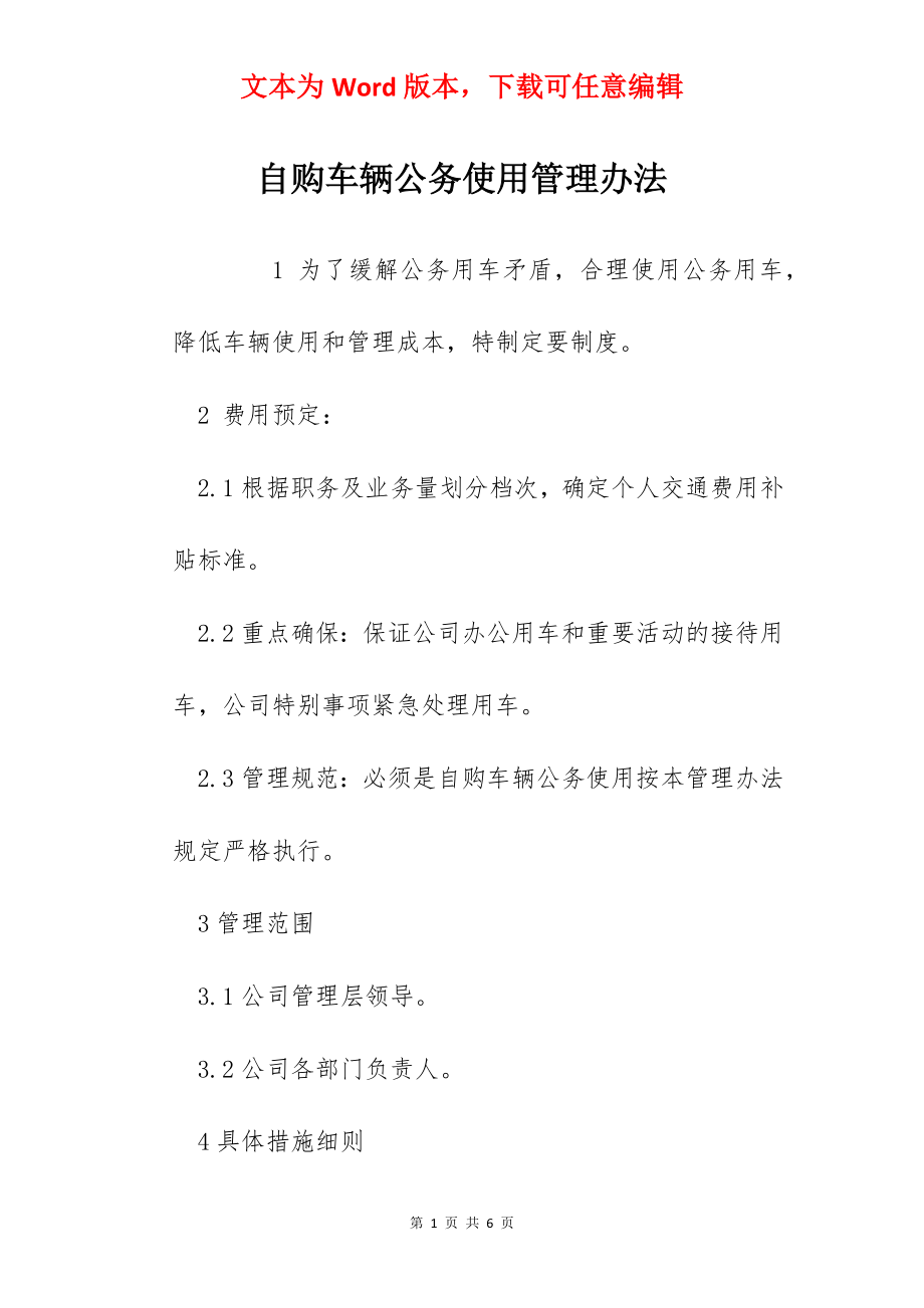 自购车辆公务使用管理办法.docx_第1页