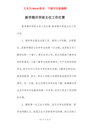 新学期开学班主任工作打算.docx