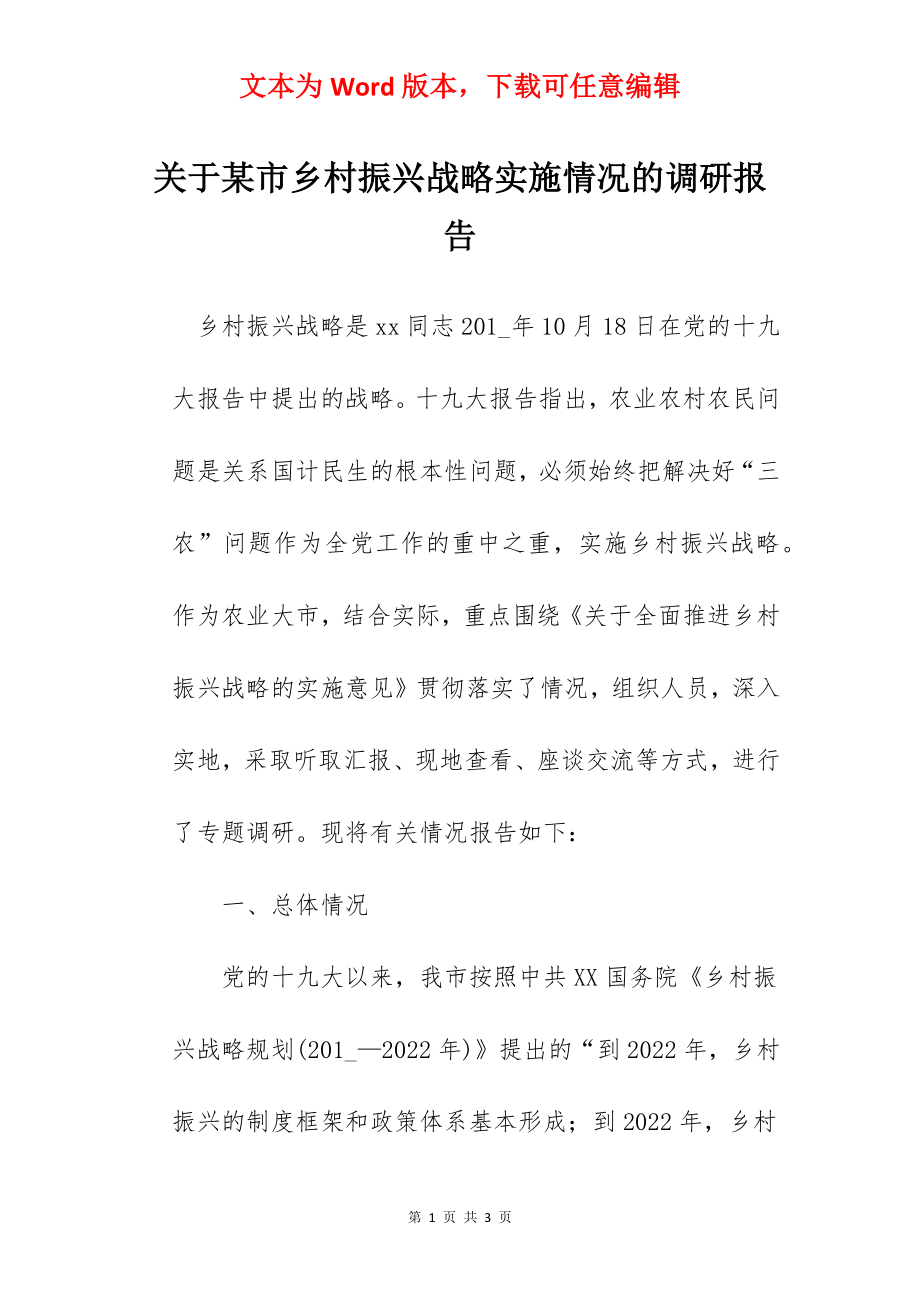 关于某市乡村振兴战略实施情况的调研报告.docx_第1页