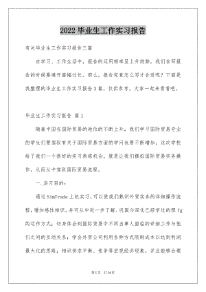 2022毕业生工作实习报告范文.docx